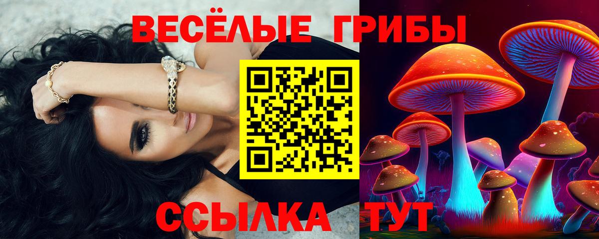 Псилоцибиновые грибы Cubensis  Псилоцибиновые грибы Magic Shrooms  Славгород  Вход с VPN 